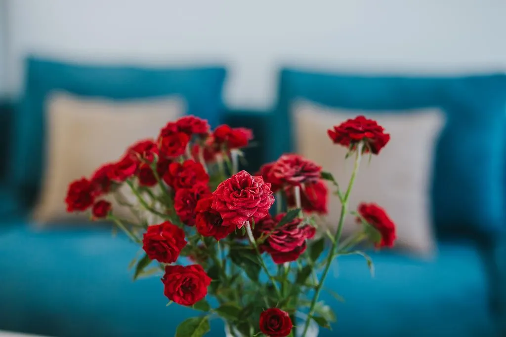 Stephanie Studios Larnaca
